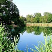 Etang ìle à l'Ours