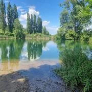 Etang de l’Ile à l’Ours à Moudon