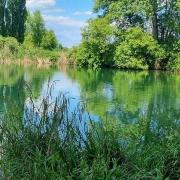 Etang de l’Ile à l’Ours à Moudon